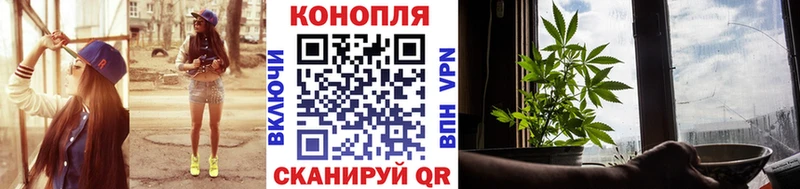 Бошки марихуана THC 21%  Куровское 